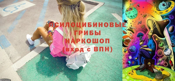 мдпв Ладушкин