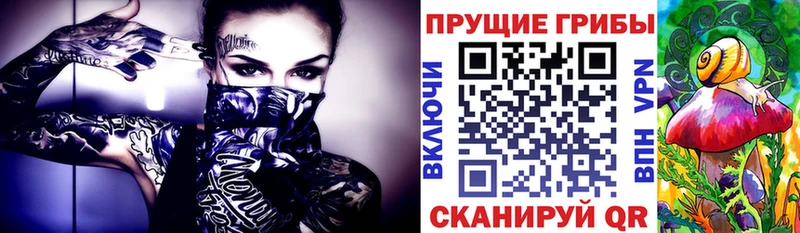 kraken   Красный Сулин  Галлюциногенные грибы прущие грибы 