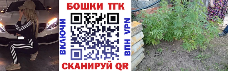 Каннабис план Красный Сулин